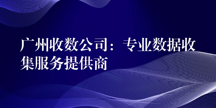 廣州收數(shù)公司：專業(yè)數(shù)據(jù)收集服務(wù)提供商——精準(zhǔn)、高效、合規(guī)，助力企業(yè)決策制勝